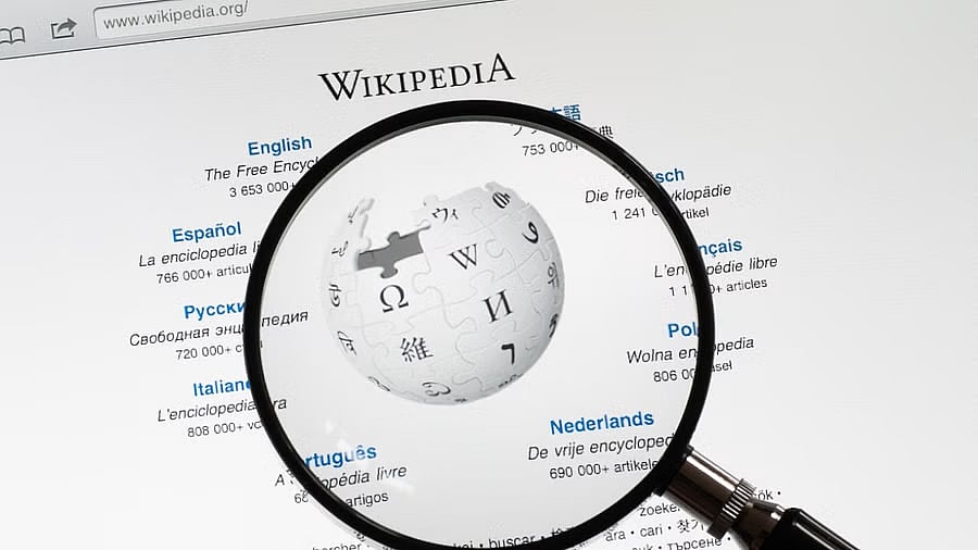 <div class="paragraphs"><p>Image for representation.</p></div>