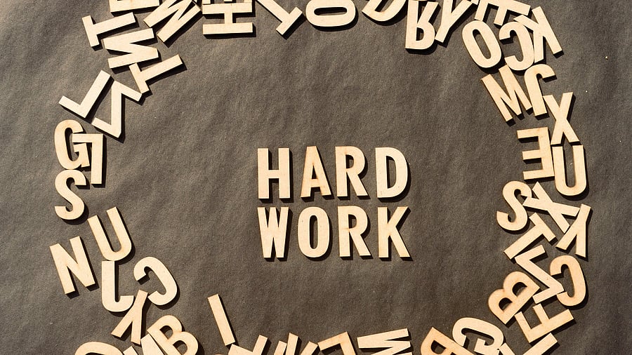 <div class="paragraphs"><p>Image for representation.</p></div>