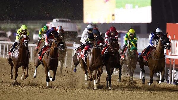 <div class="paragraphs"><p>Horse Racing during Dubai World Cup. (Representative image)</p></div>