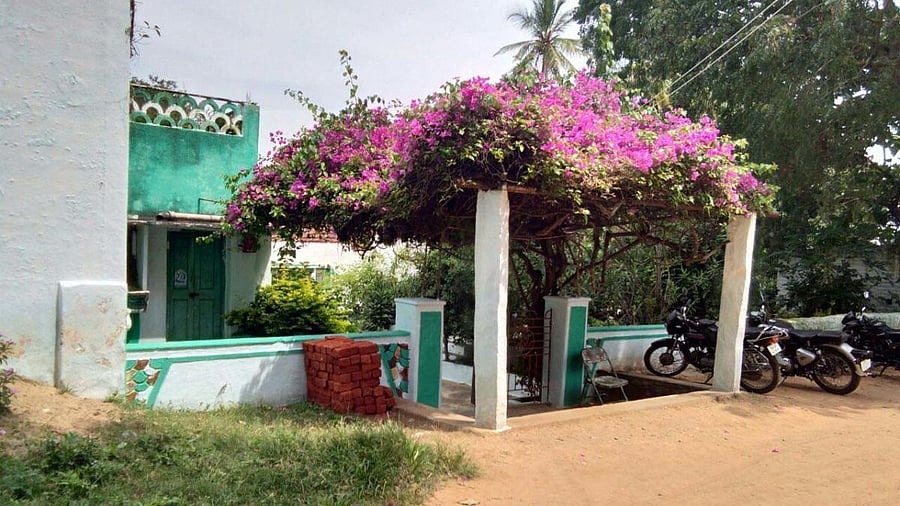 <div class="paragraphs"><p>Representative image of a house in a grama panchayat. </p></div>