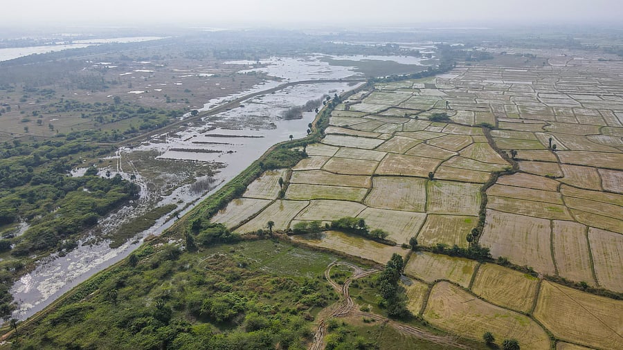 <div class="paragraphs"><p>Farmlands of Ekanapuram and nearby villages, including Parandur, where construction of a new airport has been proposed by Tamil Nadu government.</p></div>