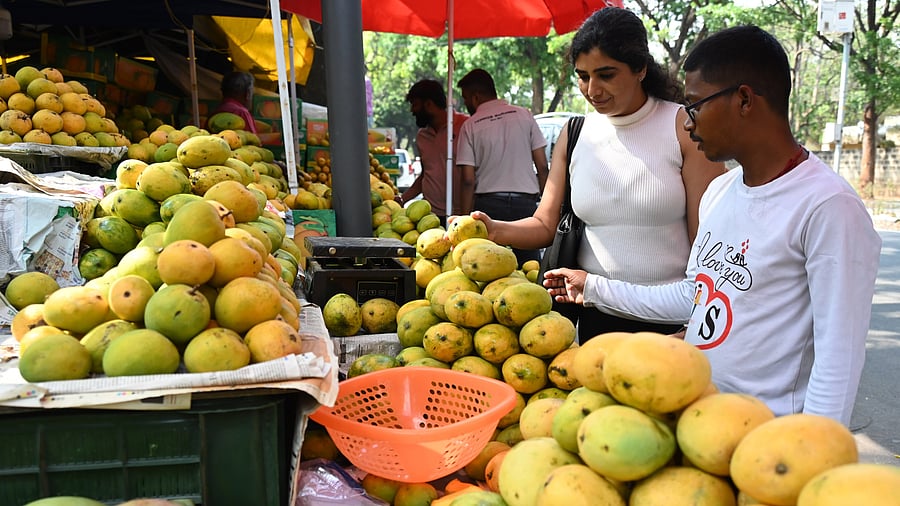 <div class="paragraphs"><p>A woman buy mango fruits on Jayamahal road in Bengaluru on Tuesday, 25th March 2025. </p></div>