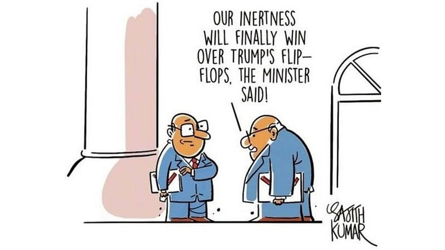 <div class="paragraphs"><p>Credit: Sajith Kumar</p></div>