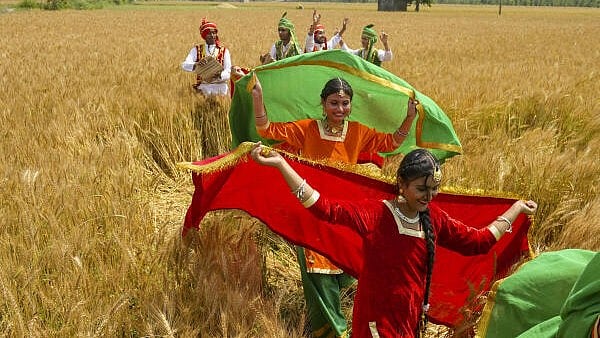 <div class="paragraphs"><p>Artists perform Bhangra, the traditional folk dance from Punjab, ahead of the Baisakhi festival, at a wheat field on the outskirts of Amritsar. </p></div>