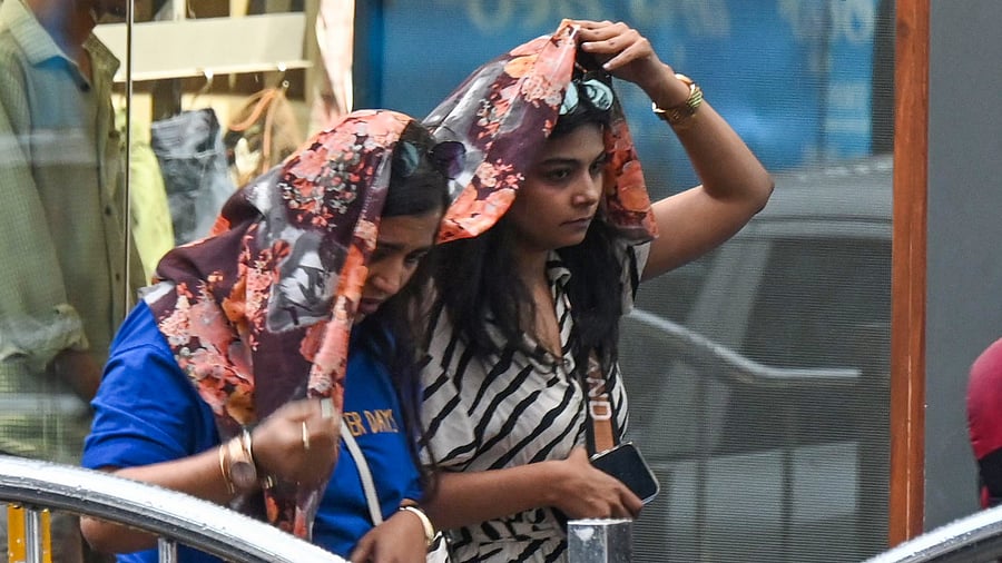 <div class="paragraphs"><p>Doctors warn that sporadic rains followed by stretches of high heat and water stagnation could spur a rise in vector-borne diseases. </p></div>