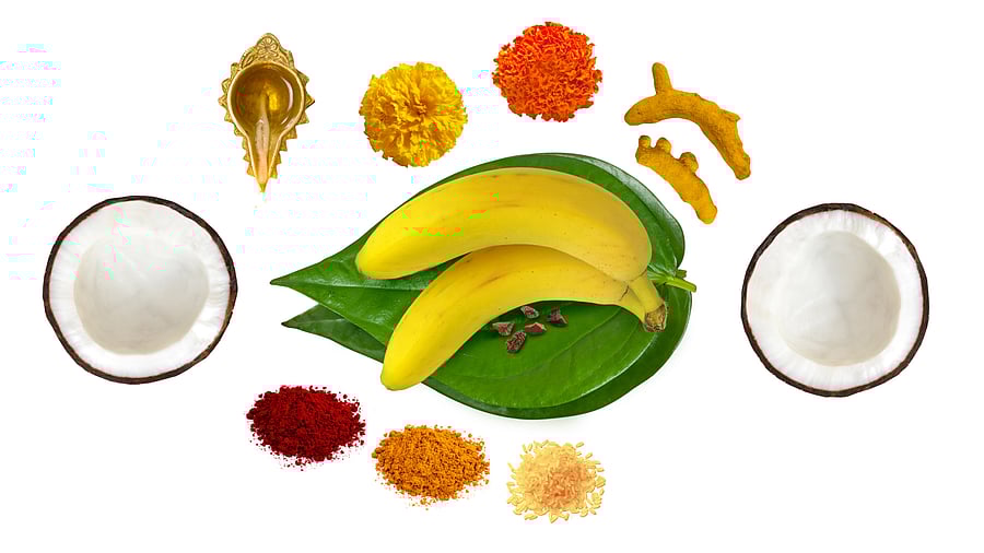 <div class="paragraphs"><p>Tamil New Year 'Viswavasu' celebrated with fervour. </p></div>