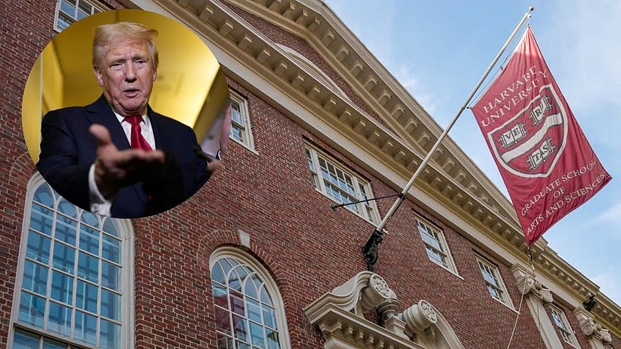 <div class="paragraphs"><p>Donald Trump and Harvard University</p></div>