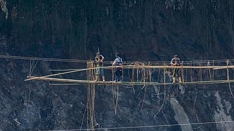 <div class="paragraphs"><p>Lepcha cane bridge</p></div>