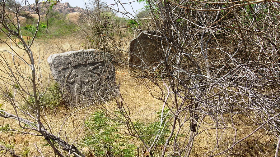 Hero stones at the ancient burial ground at Sravanagudi in Tumakuru.
