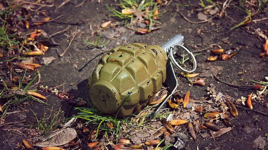 <div class="paragraphs"><p>A hand grenade. Image for representation.</p></div>