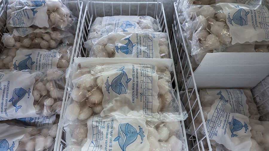 <div class="paragraphs"><p>Frozen shrimps are stored inside a freezer at a wholesale market. (Image for representation)</p></div>