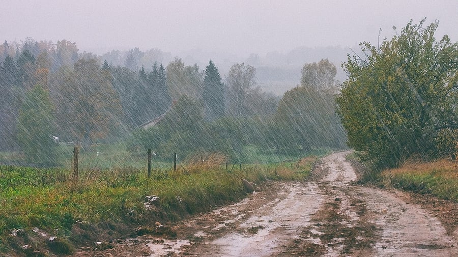 <div class="paragraphs"><p>Representative image for rain</p></div>