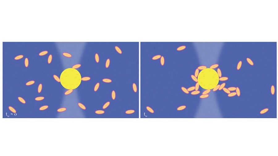 <div class="paragraphs"><p>Schematic representation of the mechanisms governing the adsorption process of clay nanoplatelets on a Latex microsphere. </p></div>