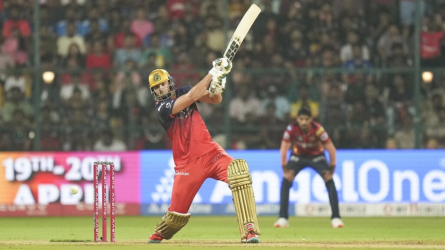 <div class="paragraphs"><p>RCB's Tim David plays a shot during the Indian Premier League (IPL) 2025</p></div>