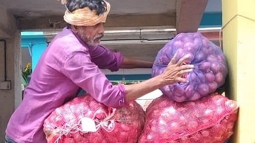 <div class="paragraphs"><p>Representative image for onion farmer</p></div>