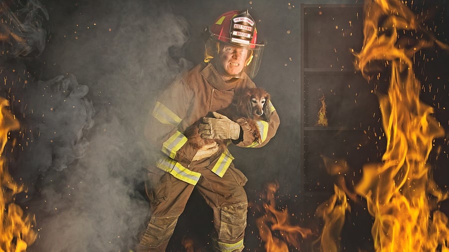 <div class="paragraphs"><p>A firefighter helps a dog.</p></div>
