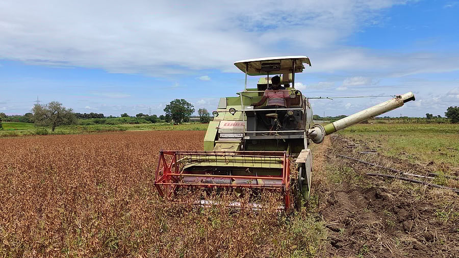 <div class="paragraphs"><p>An image showing a farm land</p></div>