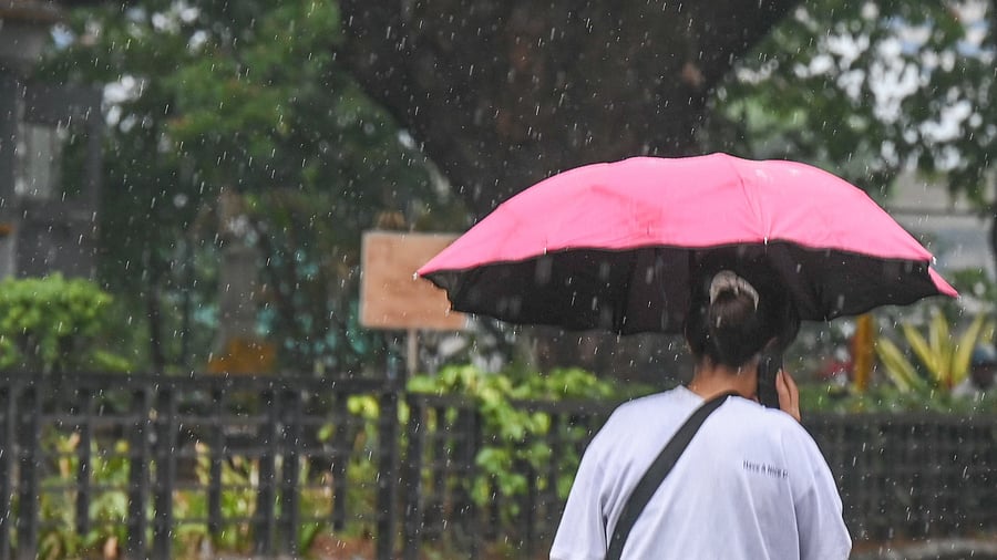 <div class="paragraphs"><p>The HAL airport and Bengaluru city observatories recorded 1 mm and 0.8 mm, respectively. </p></div>