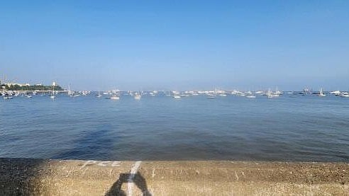 <div class="paragraphs"><p>Site of the proposed passenger jetty near the Gateway of India, to be developed by the Maharashtra Maritime Board, in Mumbai. Work has been paused due to opposition from locals who see it as an environment hazard and a threat to heritage sites.</p></div>