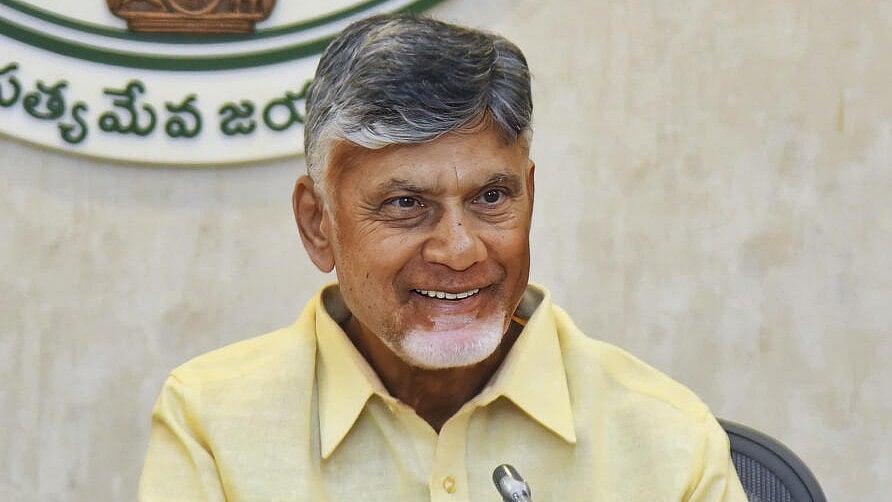 <div class="paragraphs"><p>Andhra Pradesh Chief Minister N Chandrababu Naidu</p></div>