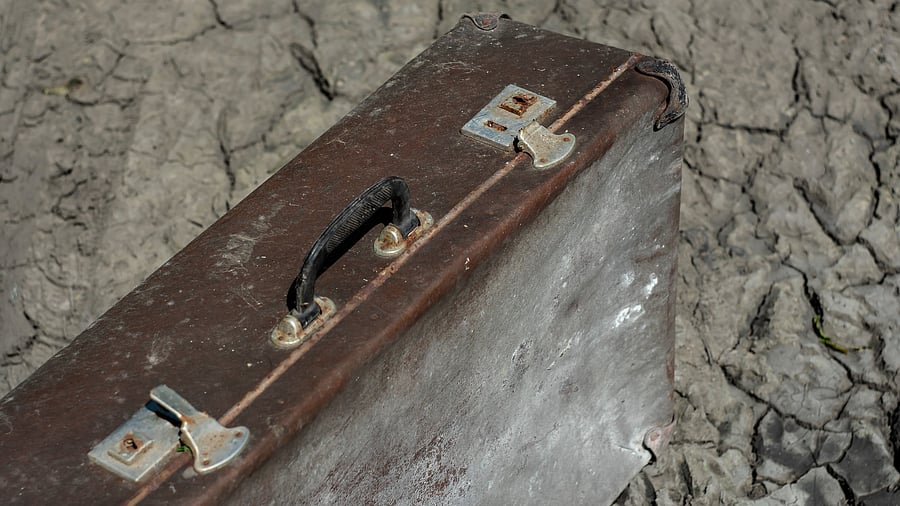 <div class="paragraphs"><p>Image for representation.</p></div>