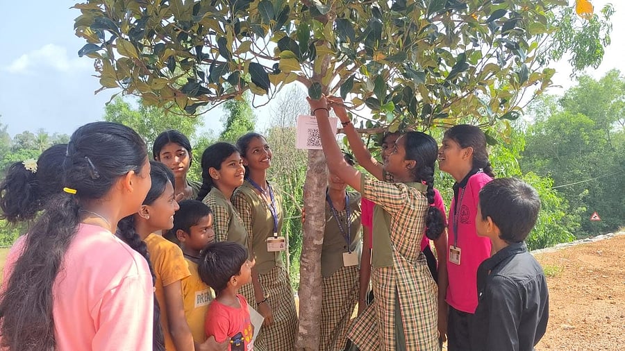 <div class="paragraphs"><p>Students of Government High School, Badaga Yekkar place QR code providing complete details on the tree, at the school premises. </p></div>