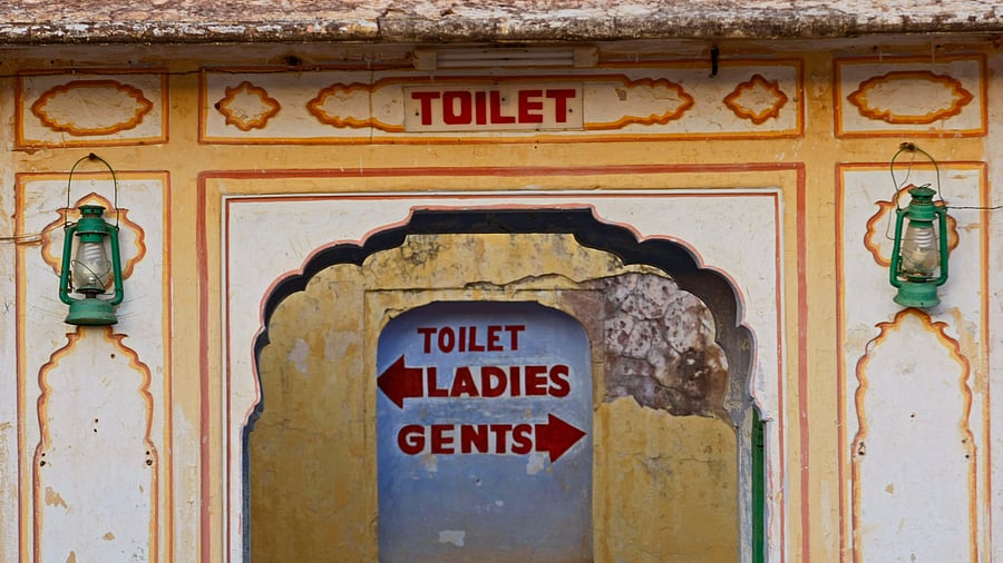 <div class="paragraphs"><p>Image for representation.</p></div>