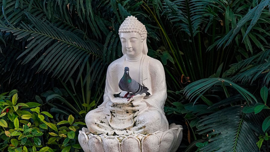 <div class="paragraphs"><p>File photo of a statue of Lord Buddha. (Representative image)</p></div>