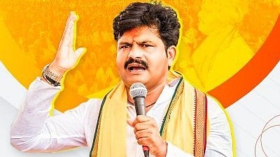<div class="paragraphs"><p>BJP MLA Gopichand Padalkar</p></div>