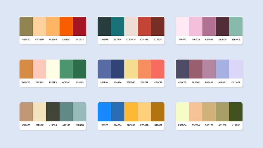<div class="paragraphs"><p>Colour palette. Representative image.</p></div>