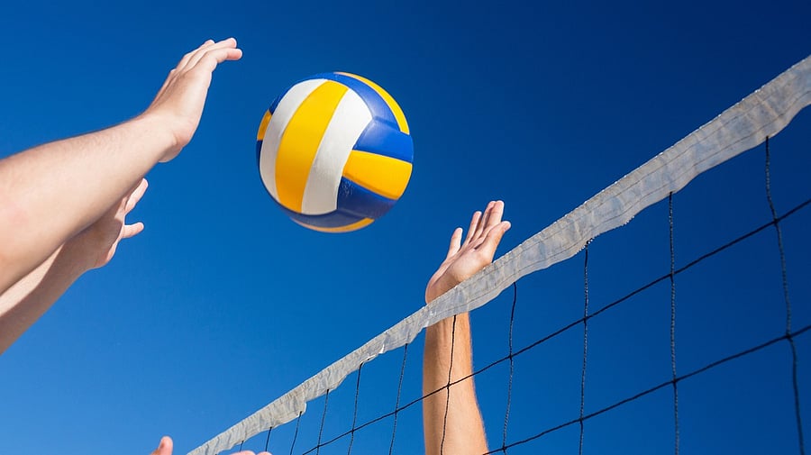 <div class="paragraphs"><p>Image showing people playing volleyball. For representational purposes.</p></div>