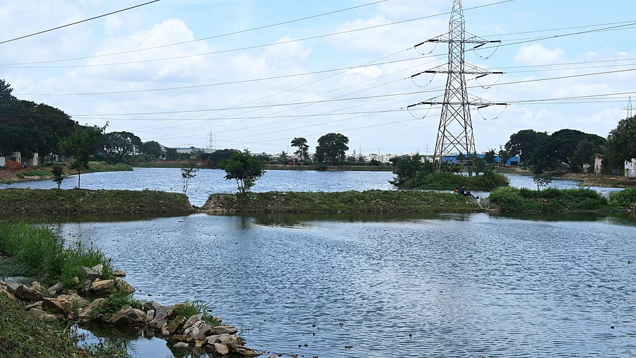 <div class="paragraphs"><p>The Nelagadaranahalli lake. For DH Point blank Story of Water pollution in lakes at the Peenya Industrial Area. </p></div>