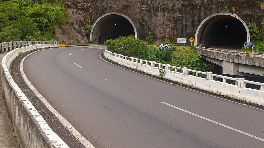 <div class="paragraphs"><p>File photo for representational purpose.</p></div>