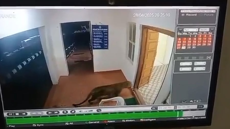 <div class="paragraphs"><p>The entire episode was caught on the CCTV cameras installed in the police station. </p></div>