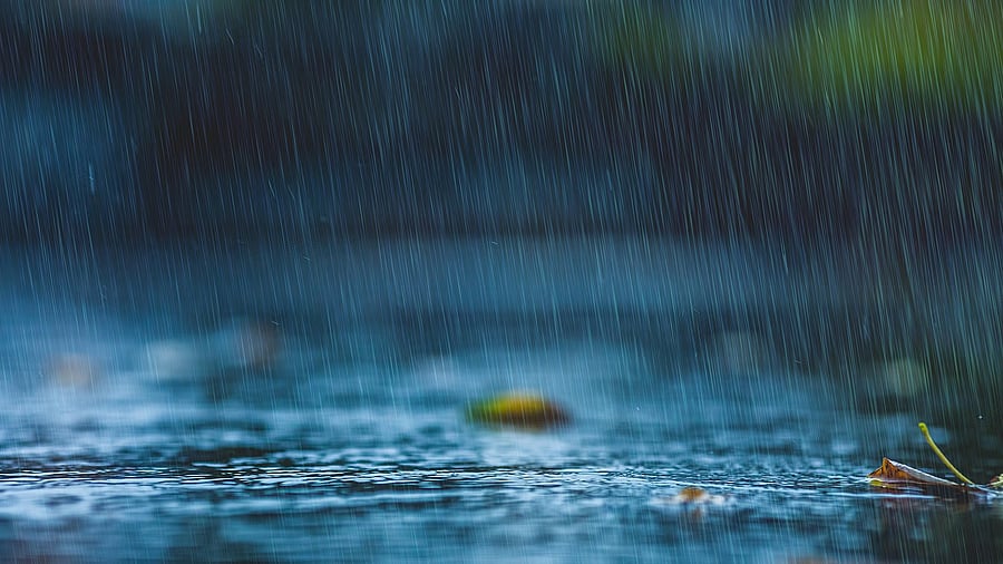 <div class="paragraphs"><p>Rainfall. Image for representation.</p></div>