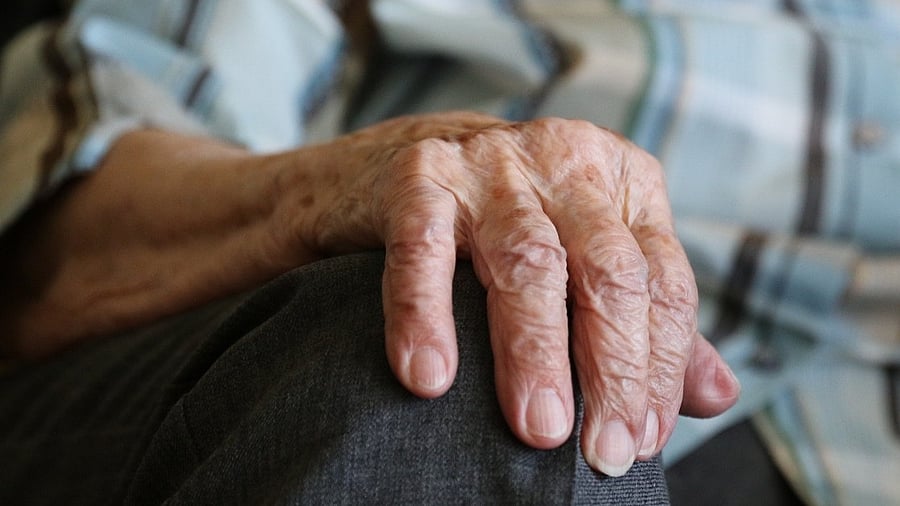 <div class="paragraphs"><p>Representative image of an elderly person</p></div>