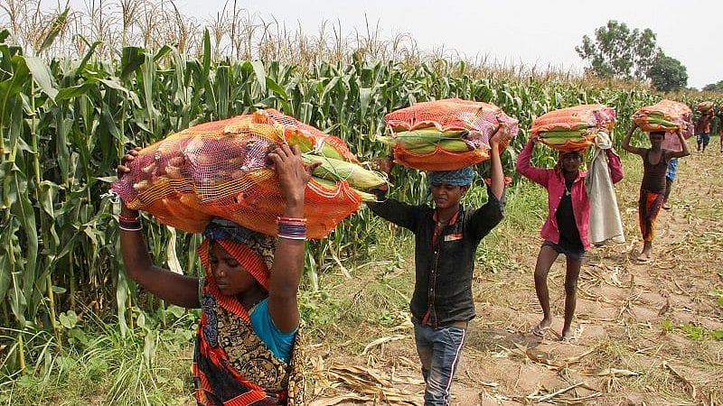<div class="paragraphs"><p>Daily wage labourers in the Valley have started looking for ways to return home. (PTI Photo)</p></div>