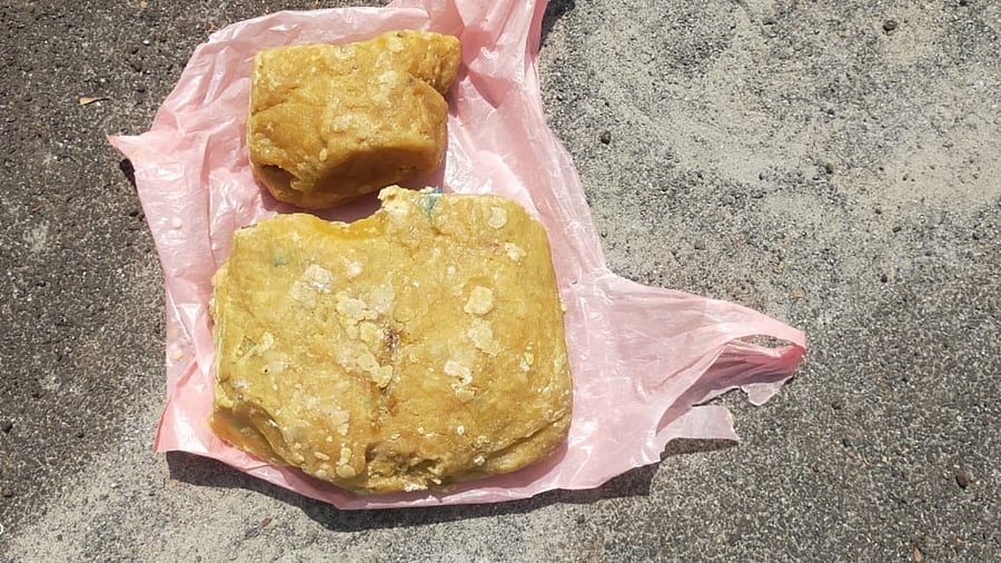 <div class="paragraphs"><p>File Photo: Ambergris </p></div>