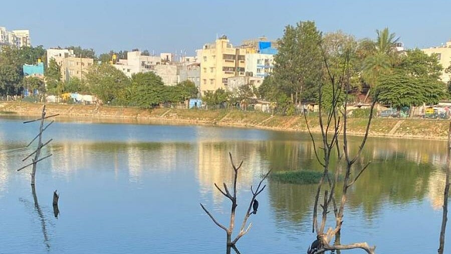 <div class="paragraphs"><p>Puttenahalli Lake </p></div>