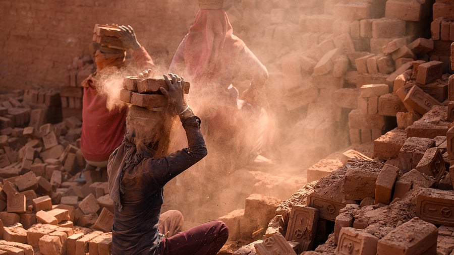 <div class="paragraphs"><p>Representative image showing labourers&nbsp;</p></div>