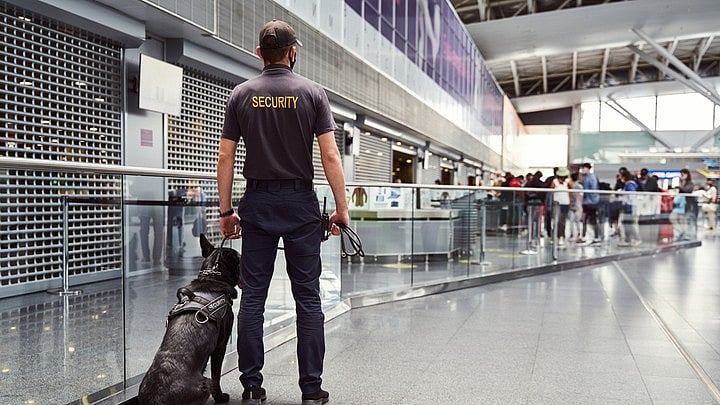 <div class="paragraphs"><p>Photo for representational purpose.</p></div>