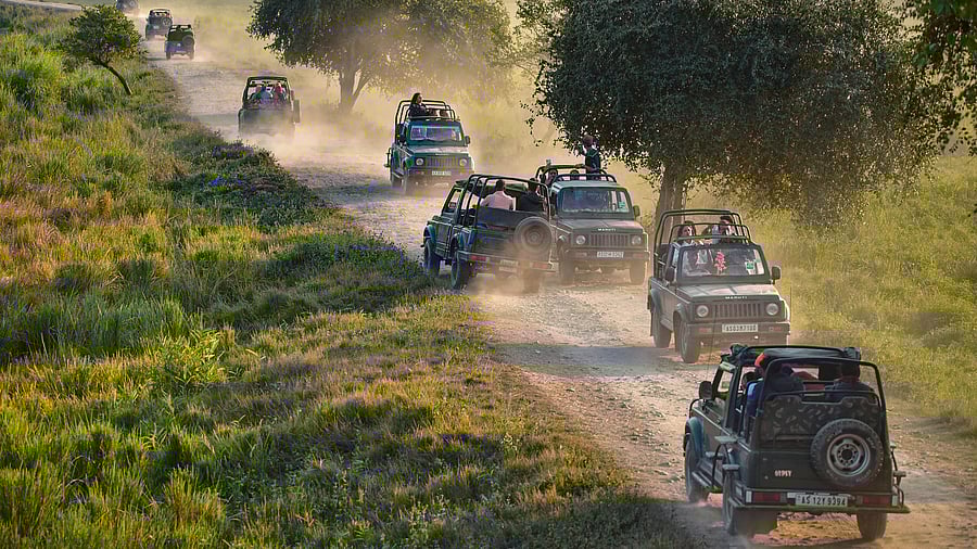 <div class="paragraphs"><p>Tourists on a jeep safari nside the Kohora Range of Kaziranga National Park.</p></div>