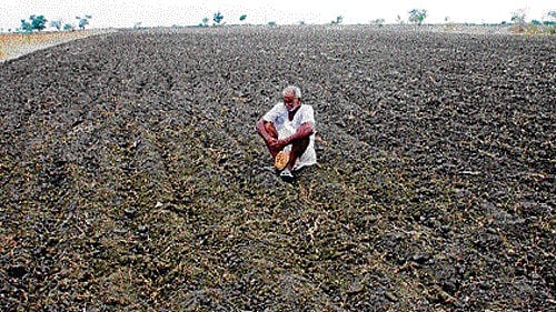 <div class="paragraphs"><p>Image of a farmer.</p></div>