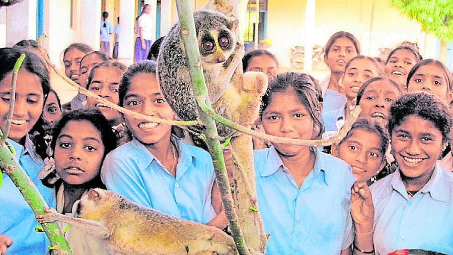 <div class="paragraphs"><p>Schoolchildren interact with a slender loris during an awareness session.</p></div>