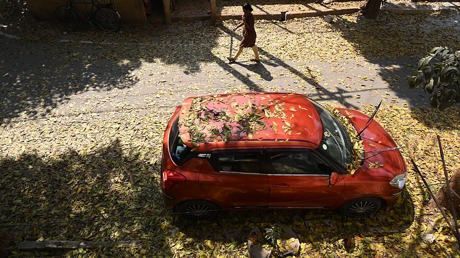 <div class="paragraphs"><p>Uncleared dry leaves threaten both pedestrian safety and fire security. </p></div>