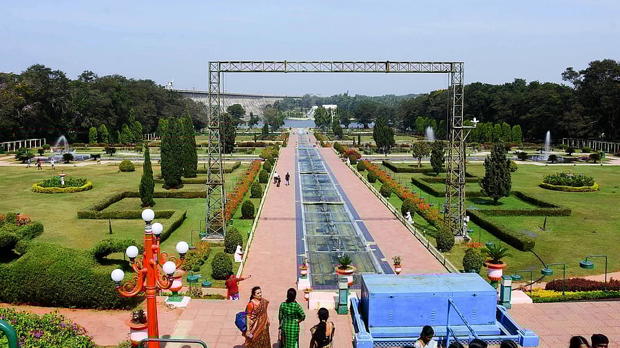 <div class="paragraphs"><p>The Brindavan Gardens below the Krishnaraja Sagar Dam in Srirangapatna taluk of Mandya district. </p></div>