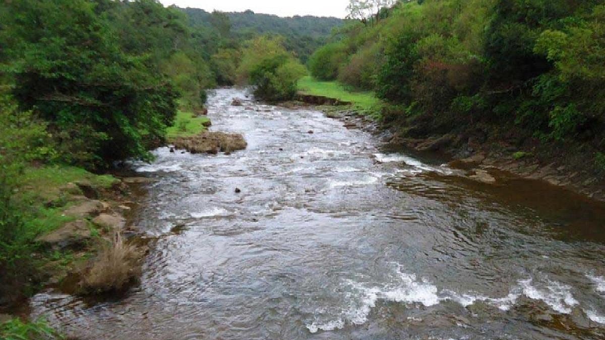 Mahadayi diversion project will have less impact on Goa: Study