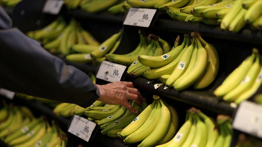 <div class="paragraphs"><p>A customer picks a bunch of bananas from a display inside a  supermarket.</p></div>
