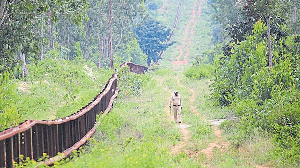 Maharashtra Plans Wildlife Crime Division Inspired by Kerala's HAWK System