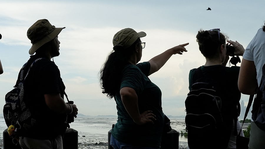 <div class="paragraphs"><p>People bird watch</p></div>